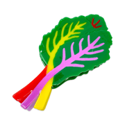 XL Rainbow Chard Hair Claw Clip