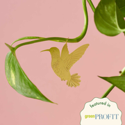 Plant Animal - Hummingbird plant decoration - Brass Hummingbird Plant Animal