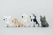 Little Felted Friends: French Bulldog (Needle-Felting Kit)
