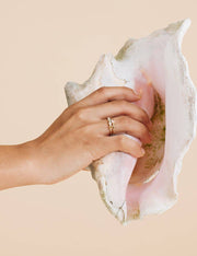 Earth Fire Water Wind Ring