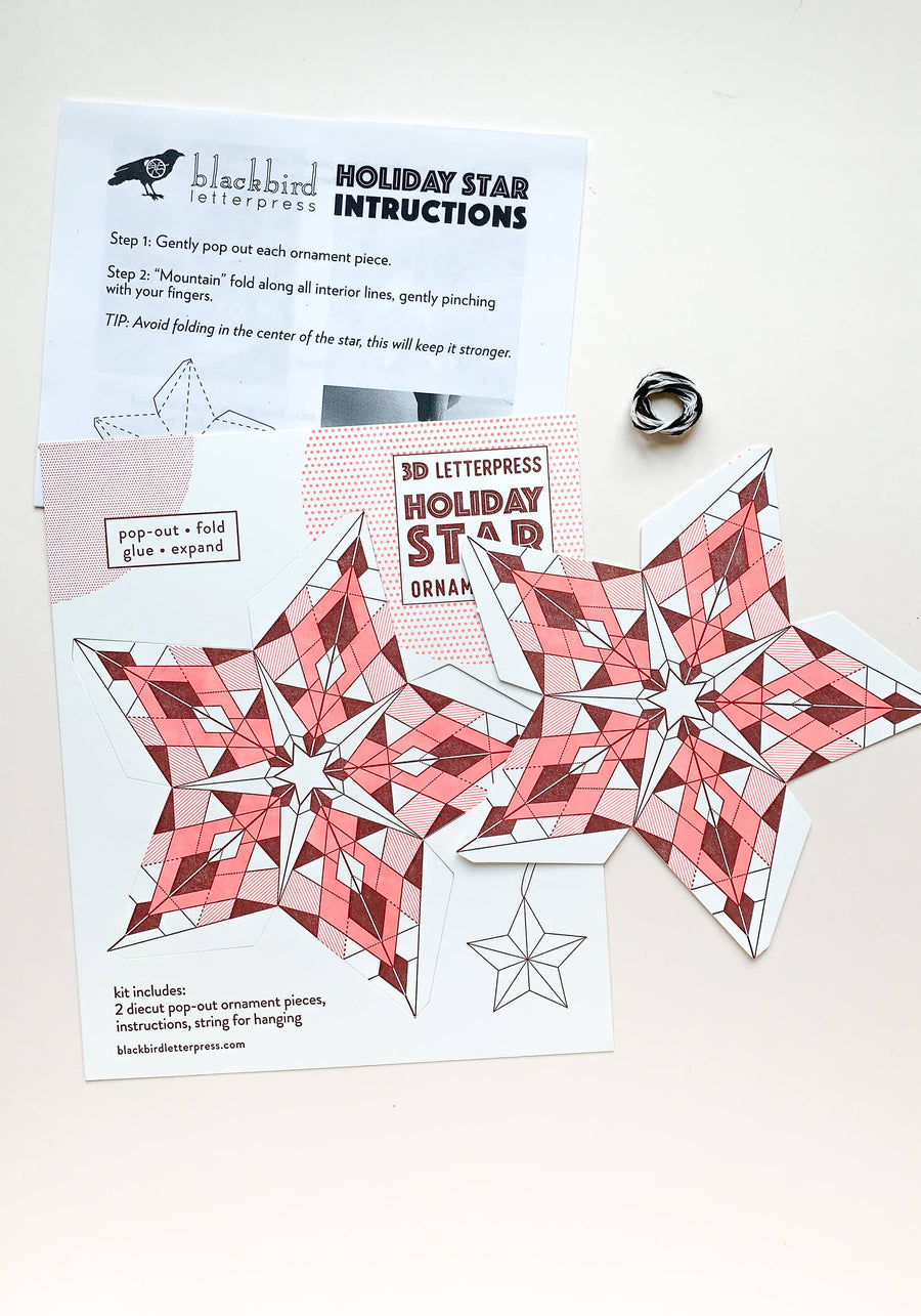 Geometric star DIY ornament kit