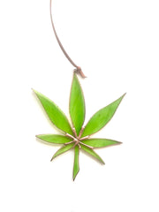 Stained Glass Weed Is Legal