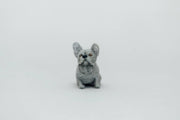 Little Felted Friends: French Bulldog (Needle-Felting Kit)