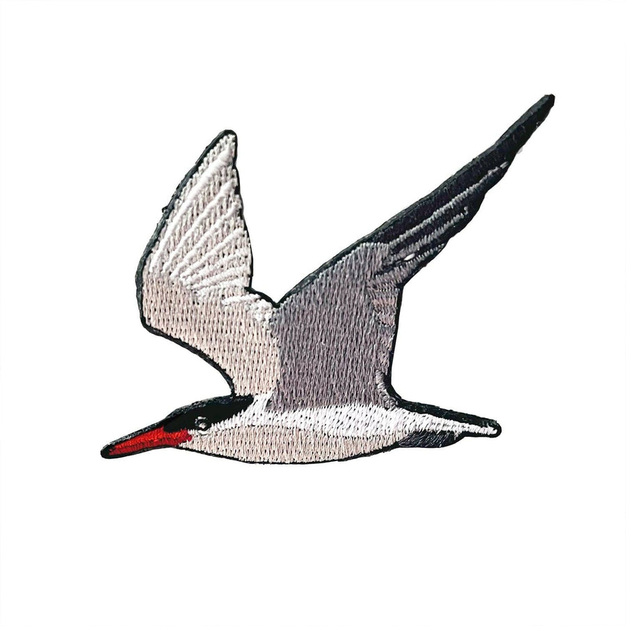 Caspian Tern Patch