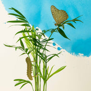 Plant Animal - Butterfly Decoration for Plants