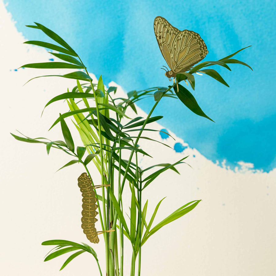 Plant Animal - Butterfly Decoration for Plants