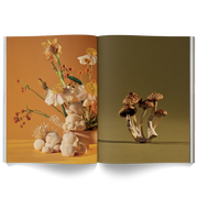 Mushroom People Magazine