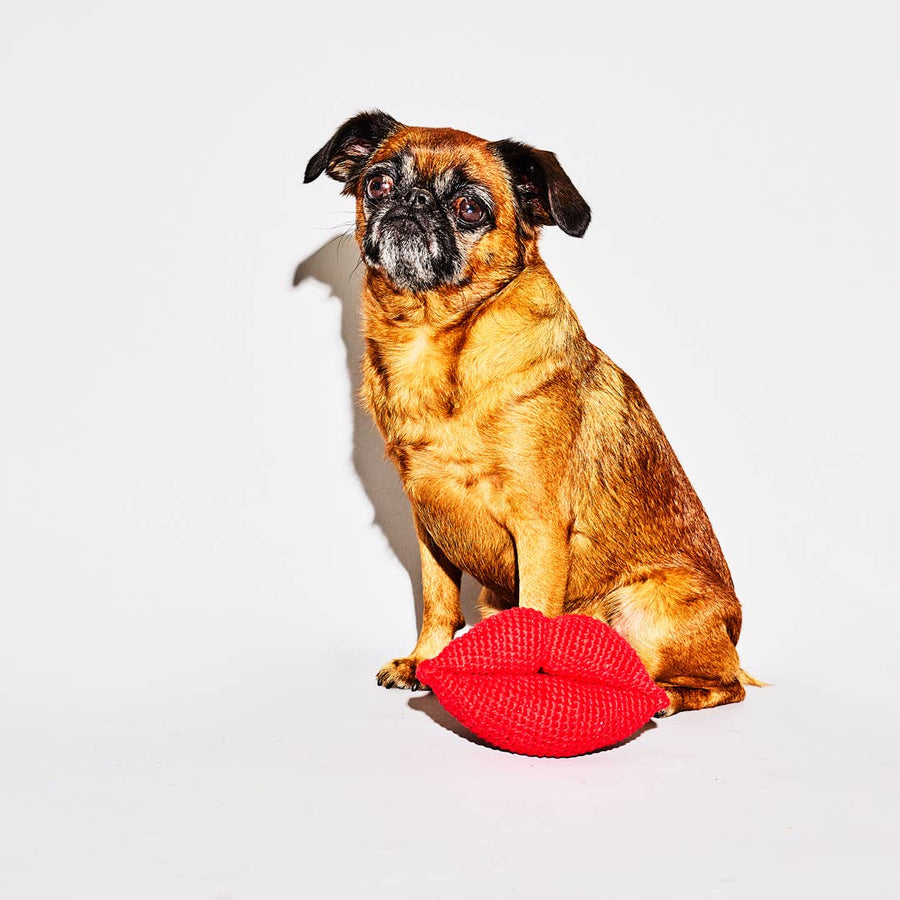 Valentine's Dog Toy - Kissing Lips Dog Toy - Eco-Friendly - Fair-Trade Handmade
