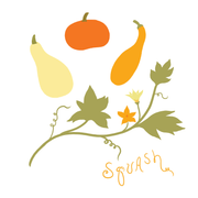 Garden Matching Card Memory Game