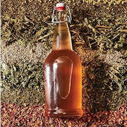 Fermenter: A Guide to DIY Fermentation (Healthy Cookbook)