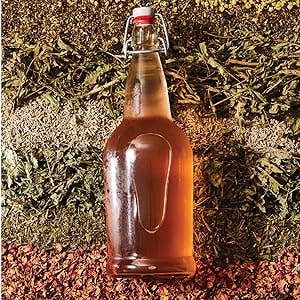 Fermenter: A Guide to DIY Fermentation (Healthy Cookbook)
