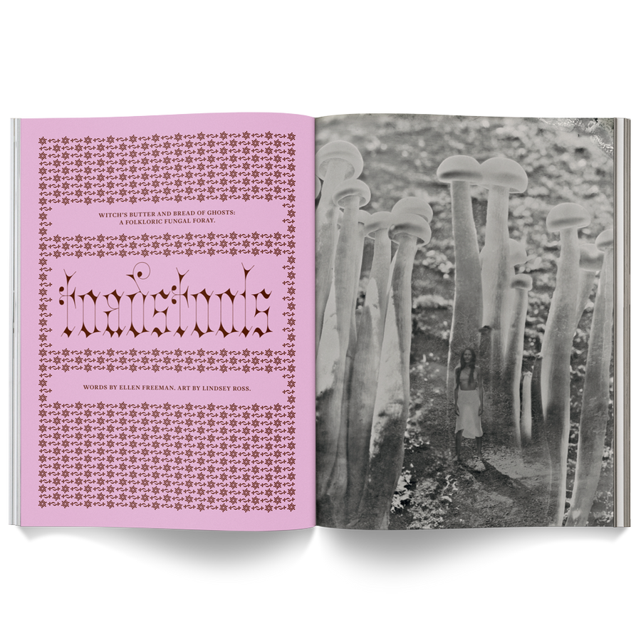 Mushroom People Magazine