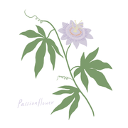 Garden Matching Card Memory Game