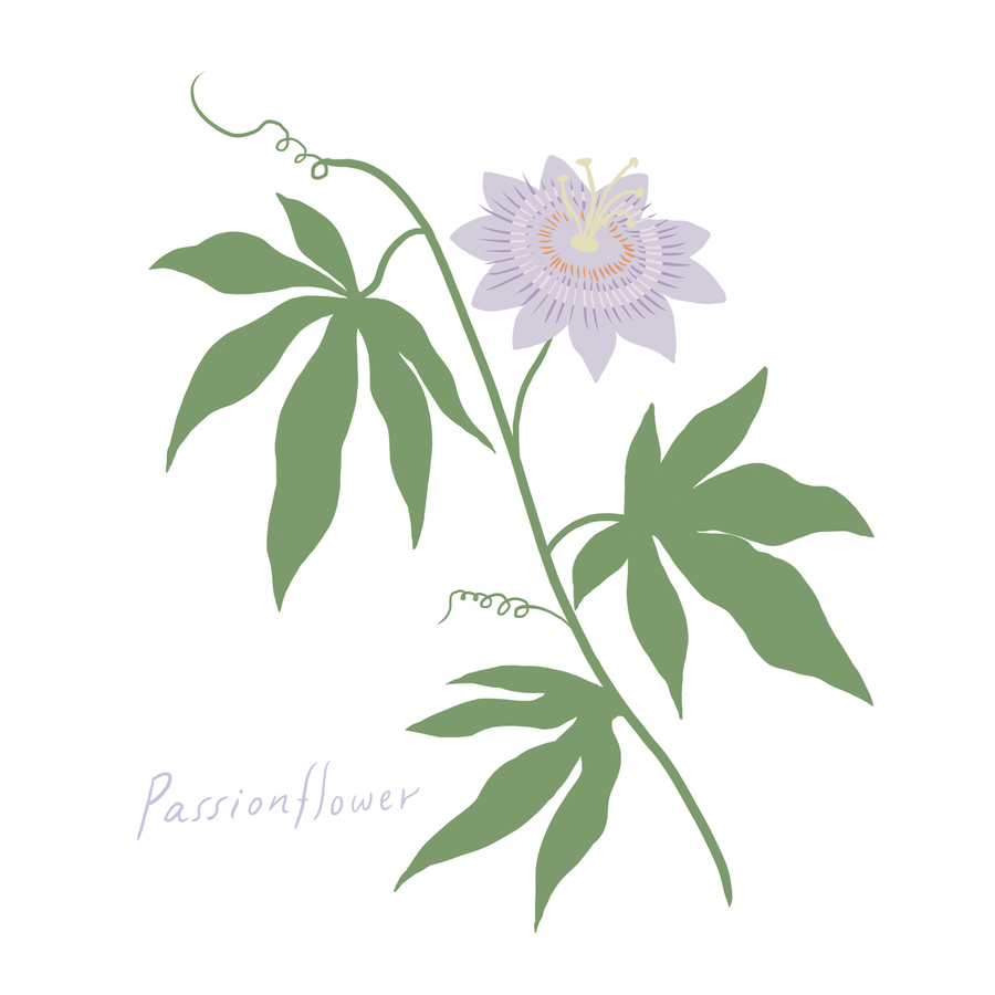 Garden Matching Card Memory Game