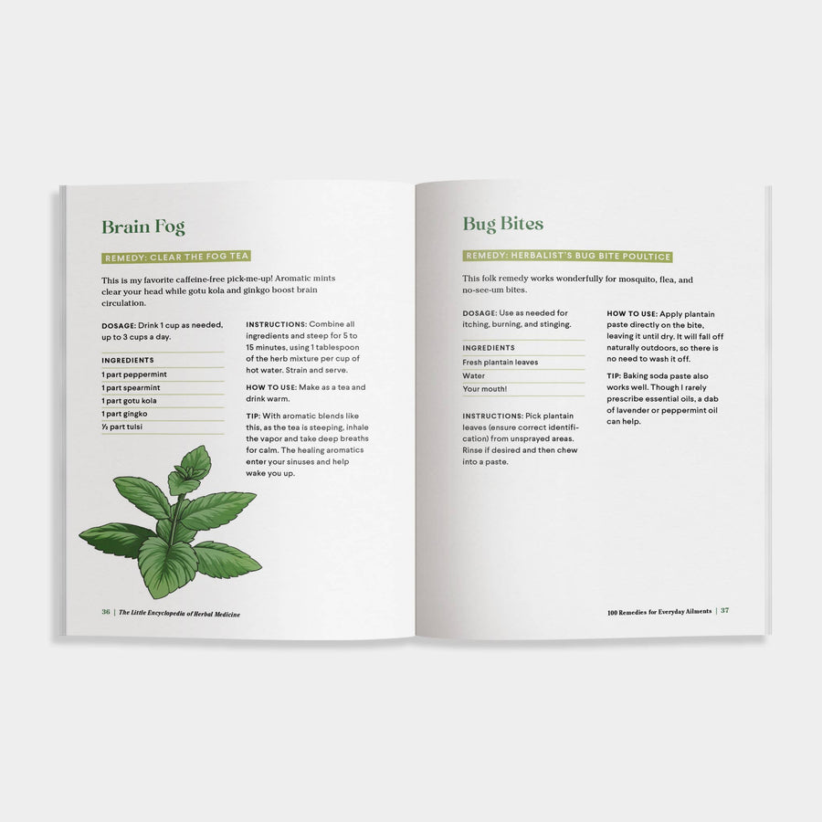 The Little Encyclopedia of Herbal Medicine: Herbal Remedies