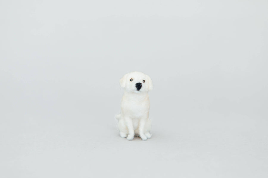 Little Felted Friends: Labrador Retriever Needle-Felting Kit