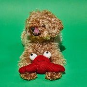 Cotton Crochet Crab Dog Toy - EcoFriendly - Made in Nepal - Designed in NYC