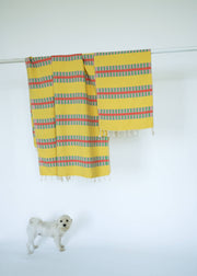 Bright & Fun Turkish Towel