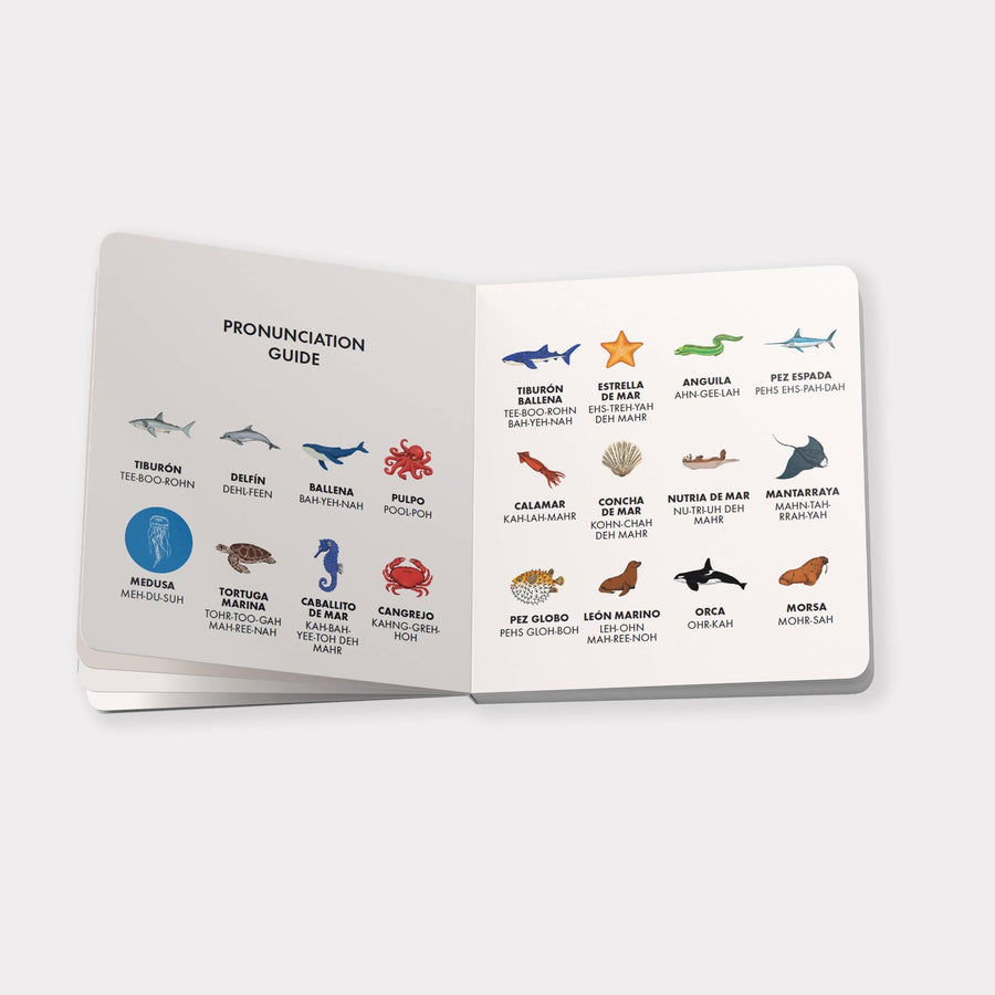 My First Bilingual Library: A Spanish-English Board Book Set