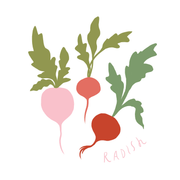 Garden Matching Card Memory Game