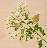 Plant Animal - Butterfly Decoration for Plants