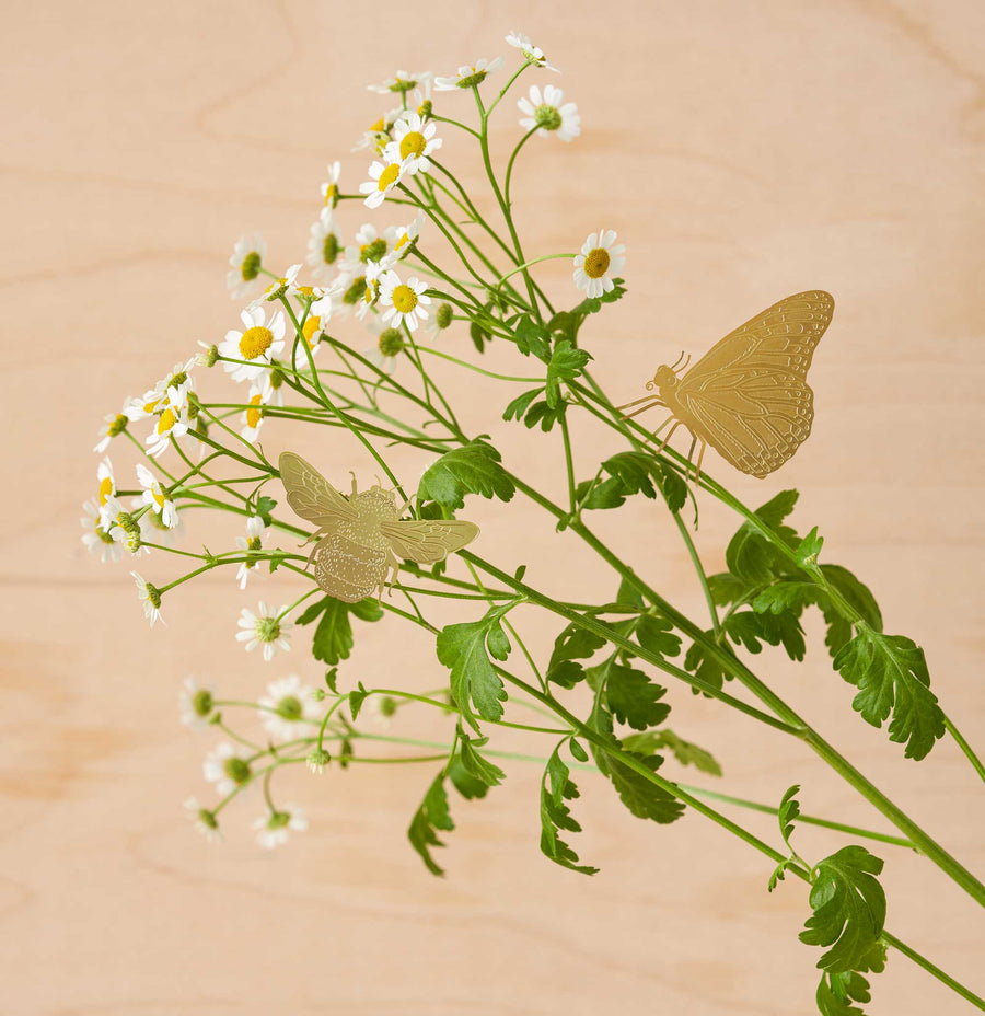 Plant Animal - Butterfly Decoration for Plants