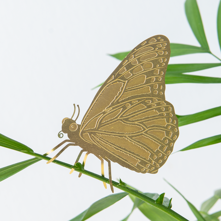 Plant Animal - Butterfly Decoration for Plants
