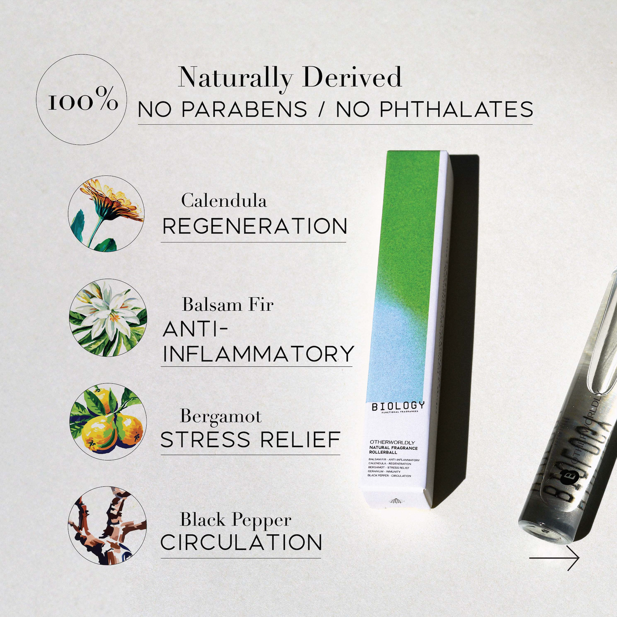 OTHERWORLDLY – Balsam Fir, Bergamot | Natural Fragrance Oil