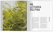 A Stunning Coffee Table Book Exploring 100 Incredible Colors