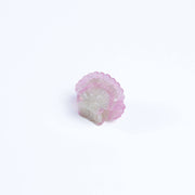 Mini Scallop Shell Hair Claw Clip