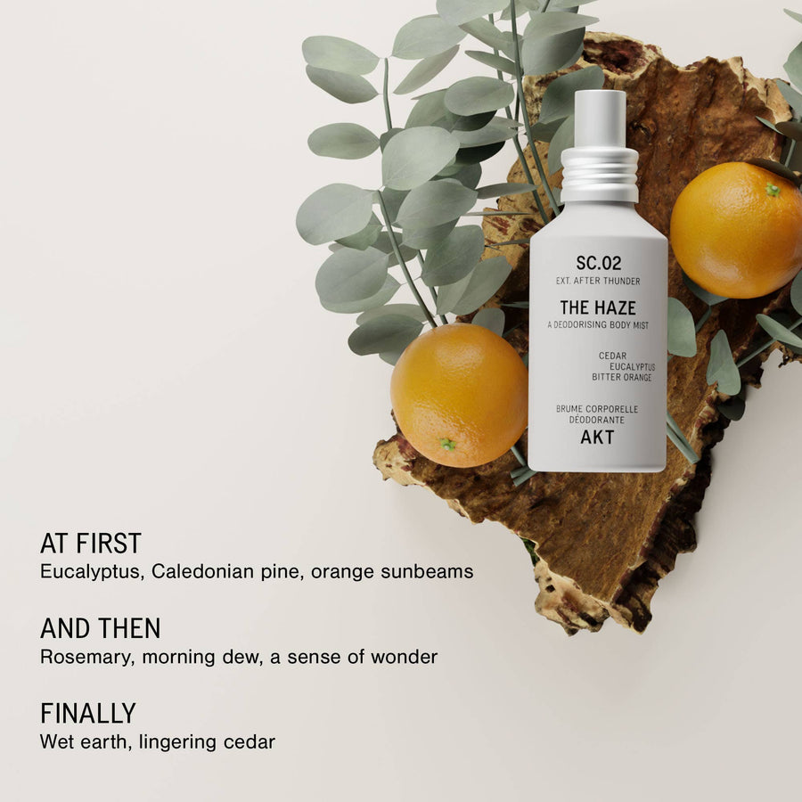 The Haze | Deodorizing Body Mist (New!)