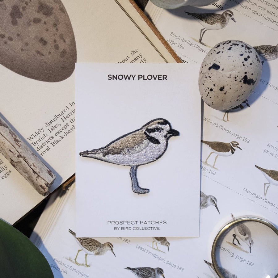 Snowy Plover Patch