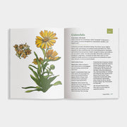 The Little Encyclopedia of Herbal Medicine: Herbal Remedies