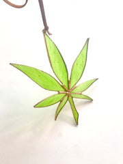 Stained Glass Weed Is Legal