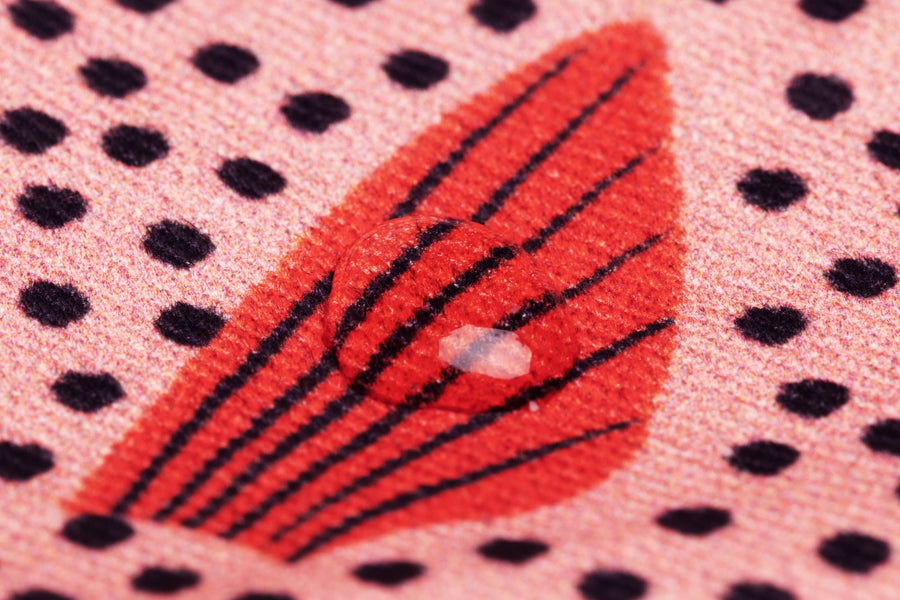 Waterproof Sweeper Fish Pouch