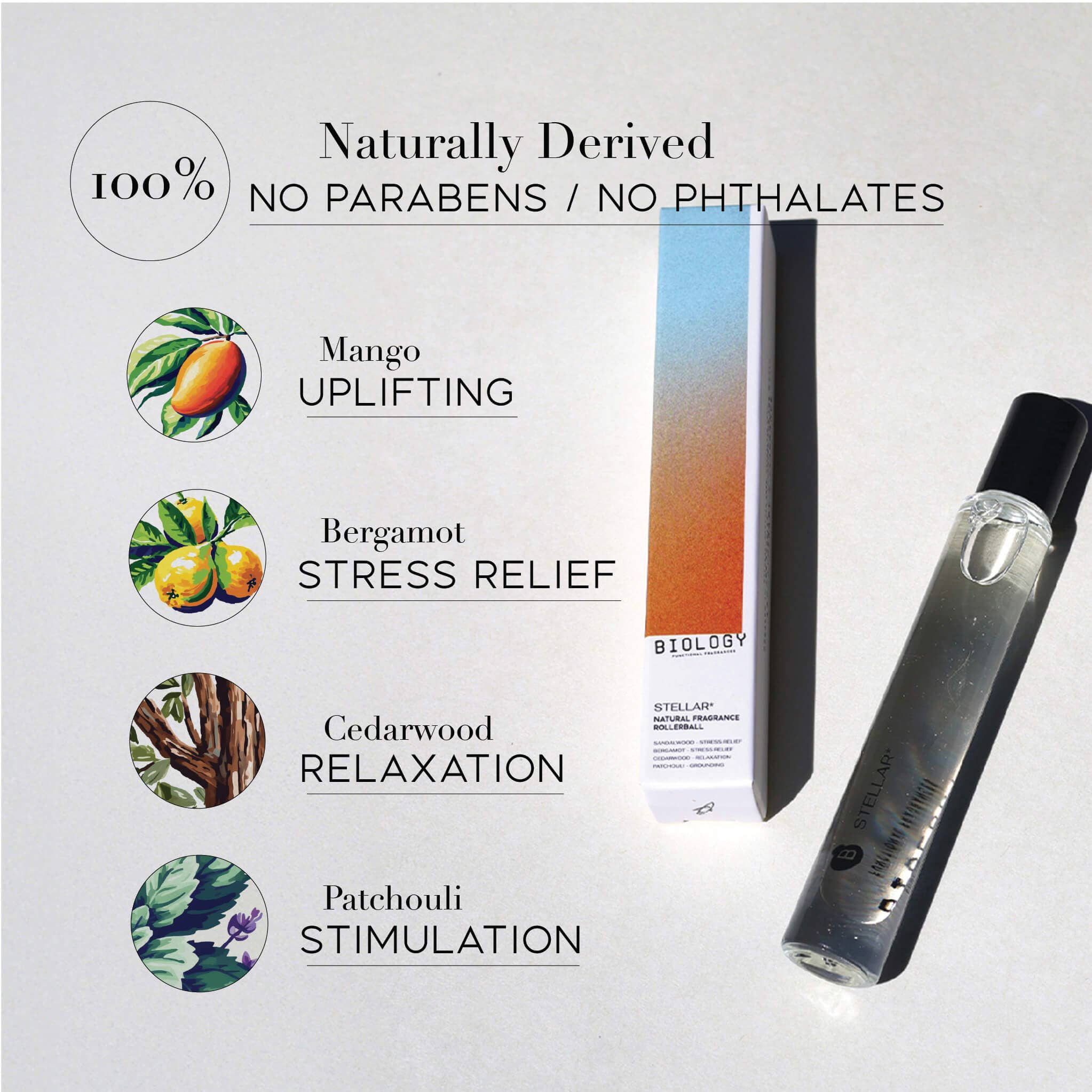 STELLAR* – Mango, Bergamot & Patchouli | Natural Fragrance Oil