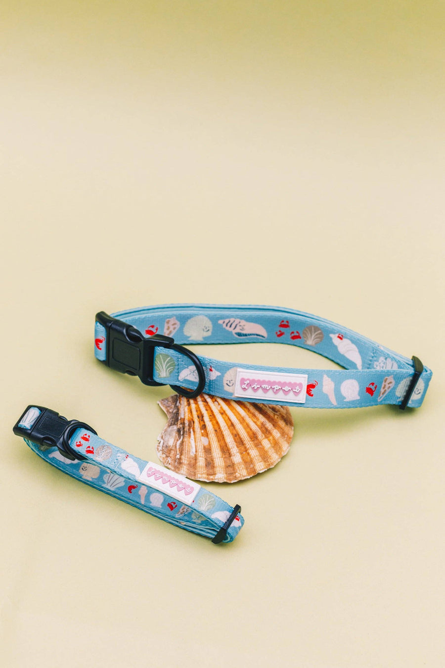 Fetch on the Beach Pet Collar