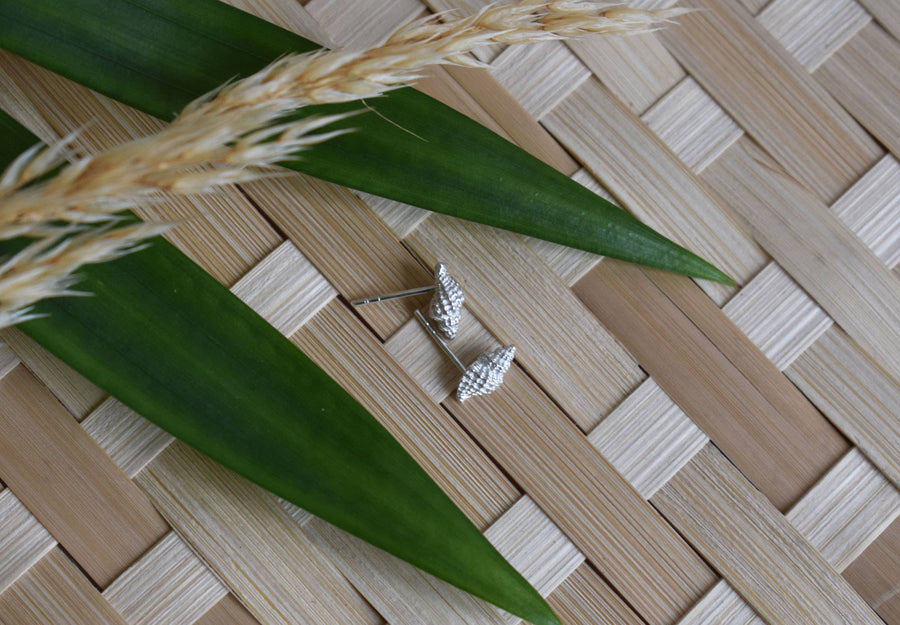 Baby Conch Studs
